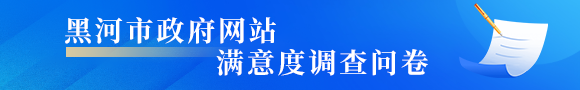 黑河市政府網(wǎng)站滿(mǎn)意度調查問(wèn)卷